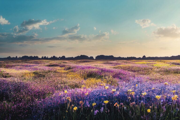 Exploring the Camino de Santiago: Pilgrimage and Spiritual Journeys